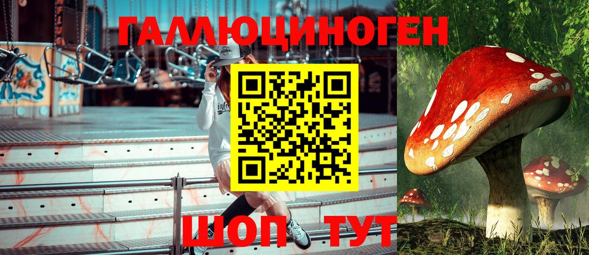 Псилоцибиновые грибы мицелий Гай